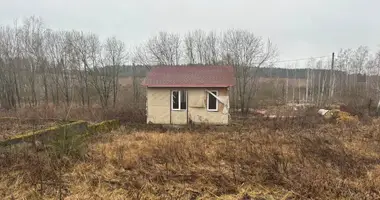 Maison dans Rakauski siel ski Saviet, Biélorussie