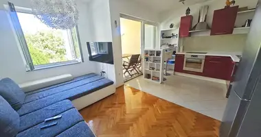 Wohnung 1 Schlafzimmer in Radici, Kroatien
