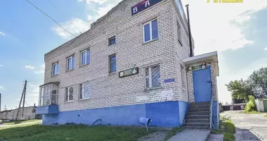 Restaurant 10 rooms with parking, with surveillance security system, with security in Zhodzina, Belarus