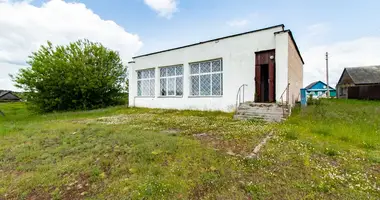 Магазин 100 м² в Шашковский сельский Совет, Беларусь