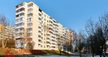 2 room apartment in Minsk, Belarus