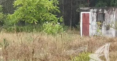 Maison dans Vielikarycki siel ski Saviet, Biélorussie