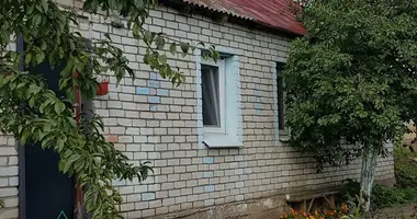 Haus in Astrosycy, Weißrussland