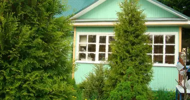 Haus 3 zimmer in Mginskoe gorodskoe poselenie, Russland