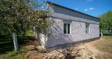 Haus in Zodzinski sielski Saviet, Belarus