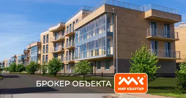 Apartment in okrug Lahta-Olgino, Russia