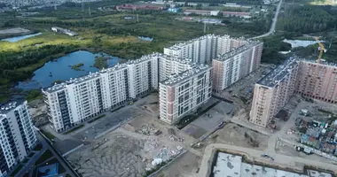 Apartment in okrug Rzhevka, Russia