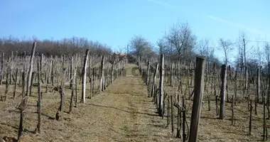 Grundstück in Binsenhelm, Ungarn
