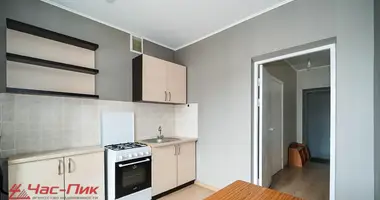 Wohnung 1 zimmer in Sonyechny, Belarus