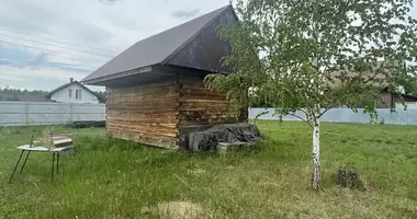 House in Kalodziscanski sielski Saviet, Belarus