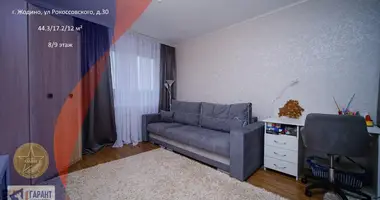 Appartement 1 chambre dans Jodzina, Biélorussie