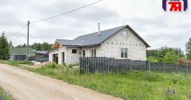 House in Lasanski sielski Saviet, Belarus