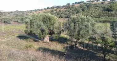 Plot of land in Nikiti, Greece