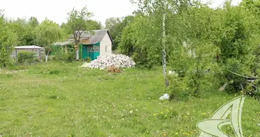 House in Matykalski sielski Saviet, Belarus