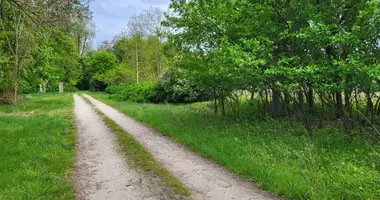 Terrain dans Starkowiec Piatkowski, Pologne