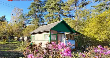 Maison dans Padlabienski siel ski Saviet, Biélorussie