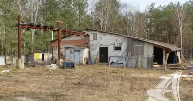 Коммерческое помещение 105 м² в Мухавецкий сельский Совет, Беларусь