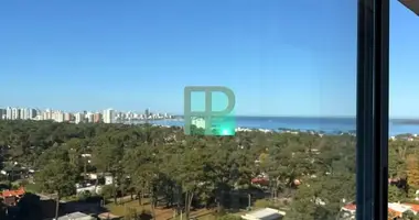 3 bedroom apartment in Punta Del Este, Uruguay