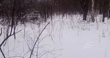 Grundstück in Zimyonki Zimenki Zimenka, Russland