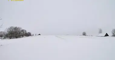 Haus in Astrasyckaharadocki siel ski Saviet, Weißrussland