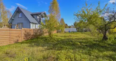 House in Kalodziscanski sielski Saviet, Belarus