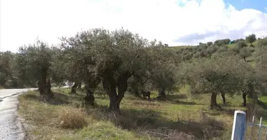 Terrain dans Pyrgadikia, Grèce