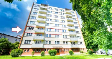 Appartement dans okres Ceske Budejovice, République tchèque