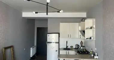 1 bedroom apartment in Tbilisi, Georgia