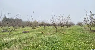 Parcela en Mihald, Hungría