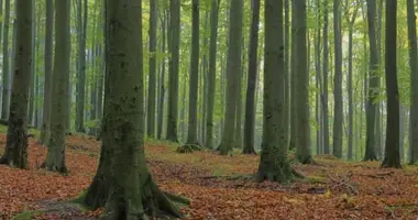 Grundstück in Adelsberg, Slowenien