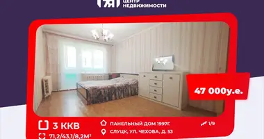 3 bedroom apartment in Sluck, Belarus