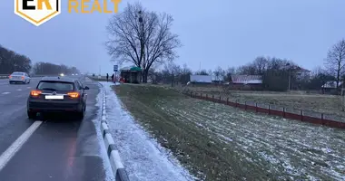 Casa en Pieski, Bielorrusia