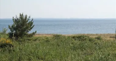 Terrain dans Ierissos, Grèce