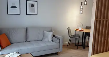 1 bedroom apartment in Lodz, Poland