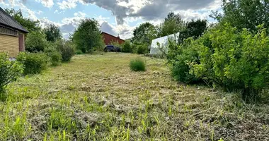 Plot of land in Rokiskis, Lithuania