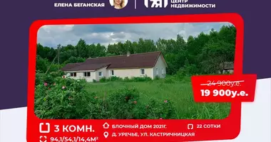 House in Naracanski sielski Saviet, Belarus
