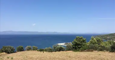 Terrain dans Paliouri, Grèce