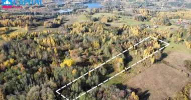 Plot of land in Utena, Lithuania