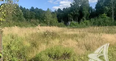 Terrain dans Muchaviecki siel ski Saviet, Biélorussie