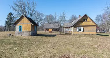 House in Zalavas, Lithuania