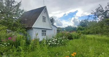 Dom w Nieharelski sielski Saviet, Białoruś