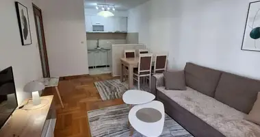 Apartamento 1 habitacion en Montenegro