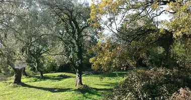 Terrain dans Tivat, Monténégro