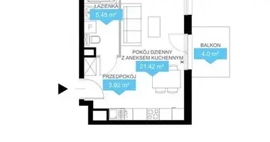 1 bedroom apartment in Poznan, Poland