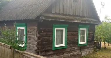 House in Vysokoe, Belarus