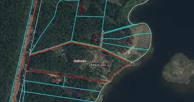 De inversiones en Navapolack, Belarús