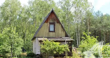 Maison dans Muchaviecki siel ski Saviet, Biélorussie