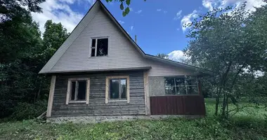 House in Svabski sielski Saviet, Belarus