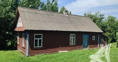 House in Aziaty, Belarus