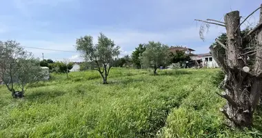 Plot of land in Langadas, Greece